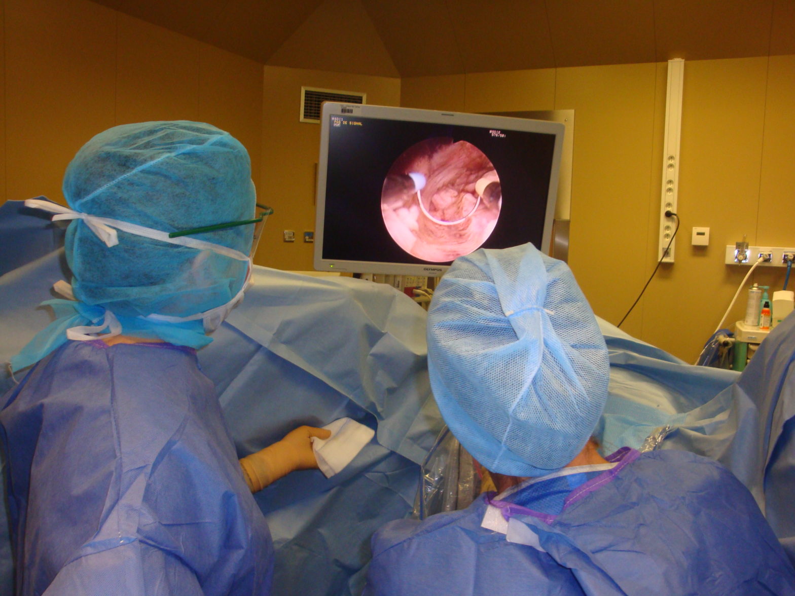 Hystéroscopie CHIRURGIE GYNECOLOGIQUE ET MAMMAIRE Hystéroscopie CHIRURGIE GYNECOLOGIQUE ET MAMMAIRE